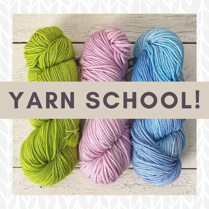 Yarn School: From Sheep to Shawl! — July 2024