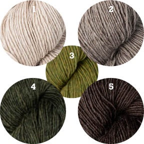 Glittering Snowscape Shawl Kit (Driftwood/Gravel Road/Earth Ivy/Wild Thyme/Dark Chocolate)