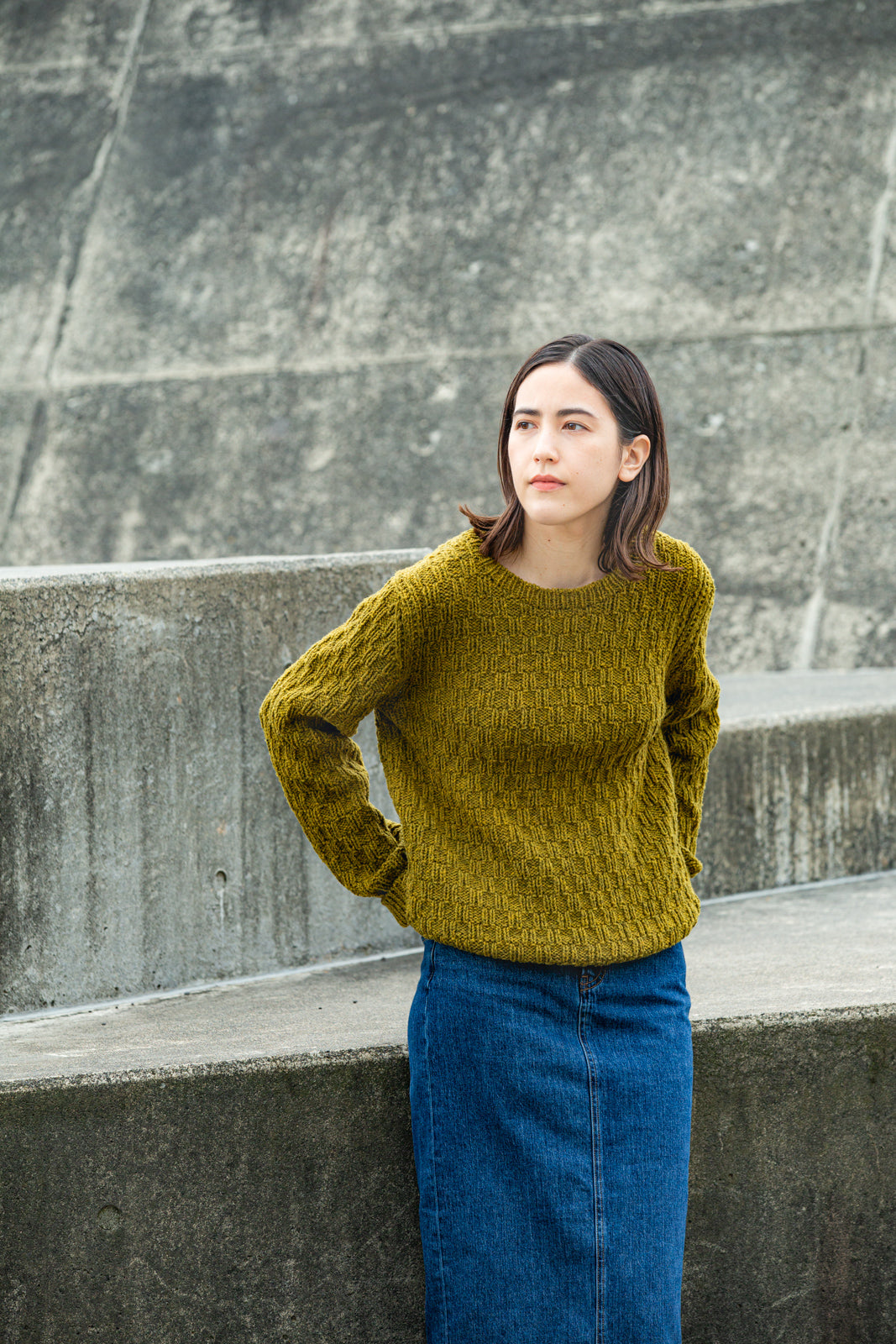 Northern Lights: A Collection with Brooklyn Tweed