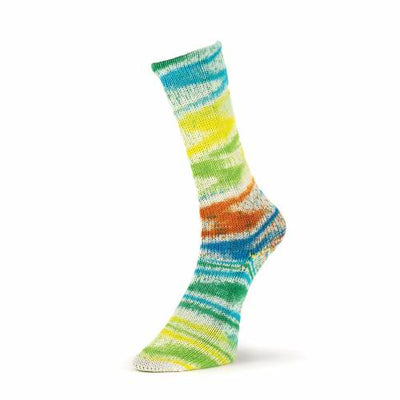 Laines du Nord Summer Socks Fancy