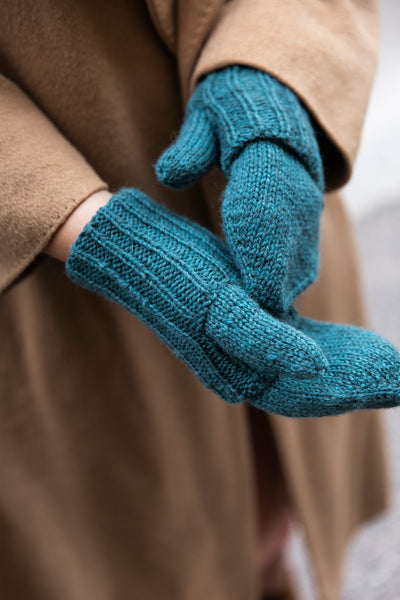 Everyday Knits (Paula Narkiniemi)