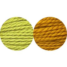 Umarmung Kit (Chartreuse 355 / Dandelion 720)