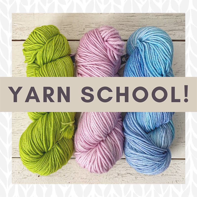 Yarn School: From Sheep to Shawl! — February 2025