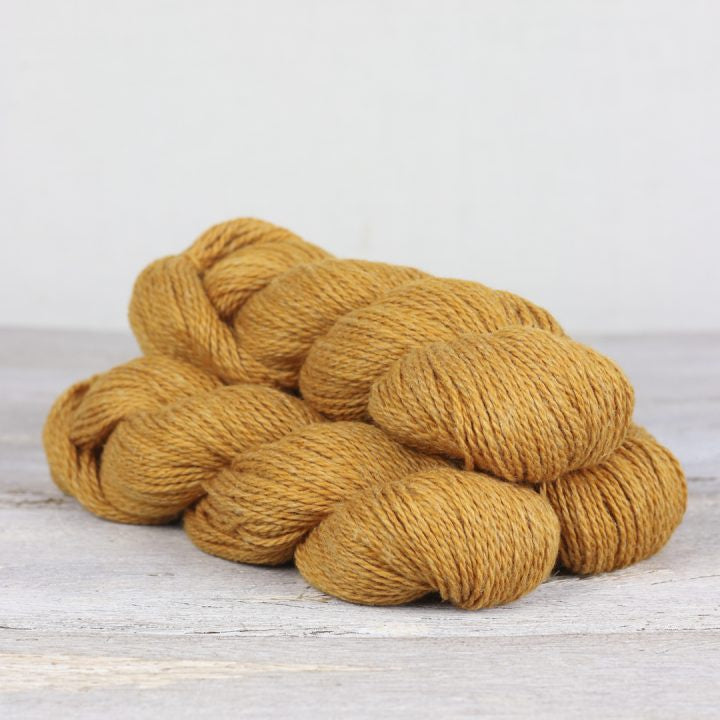 Autumn League Pullover Kit, Size 3-4 (Marigold)