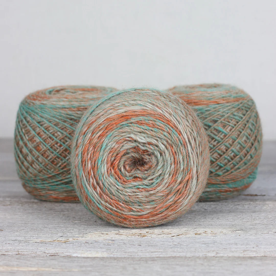 Fibre Co. Transitions