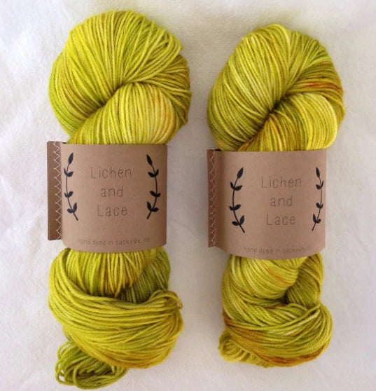 LIchen and Lace 80/20 Sock