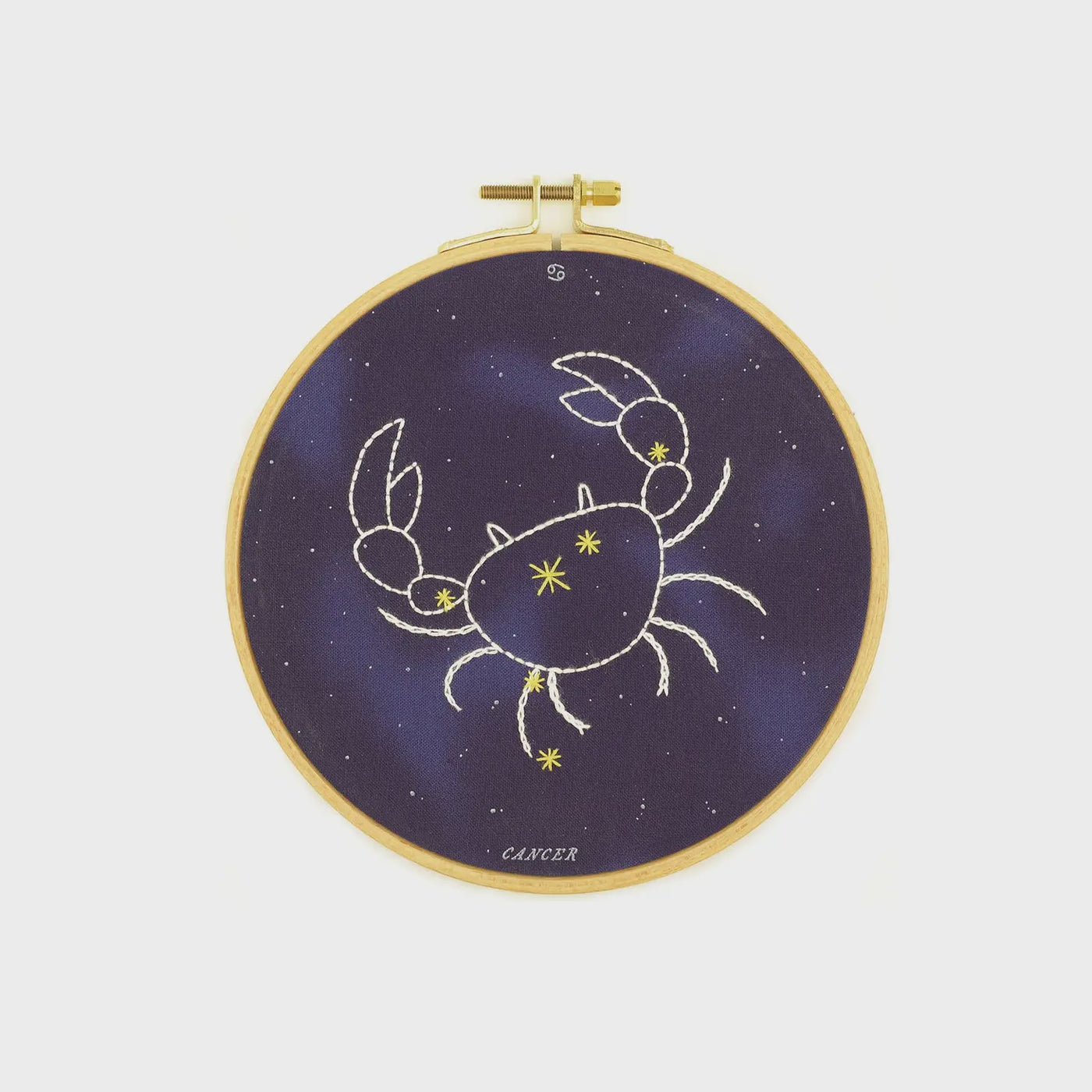Cancer Embroidery Kit (6" hoop)