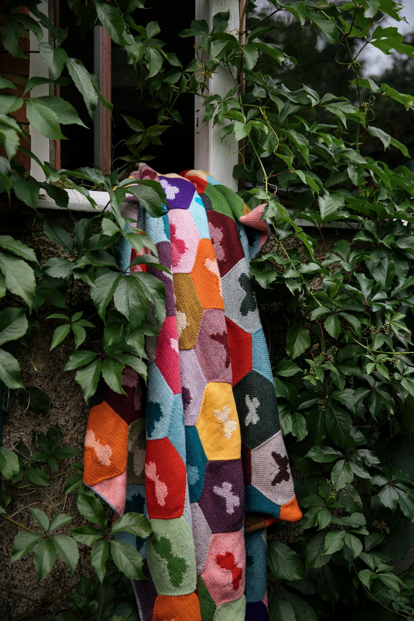 Knitted Fabric (Dee Hardwicke)