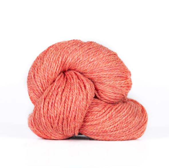 Moving Forward Wrap Kit (Coral Heather)
