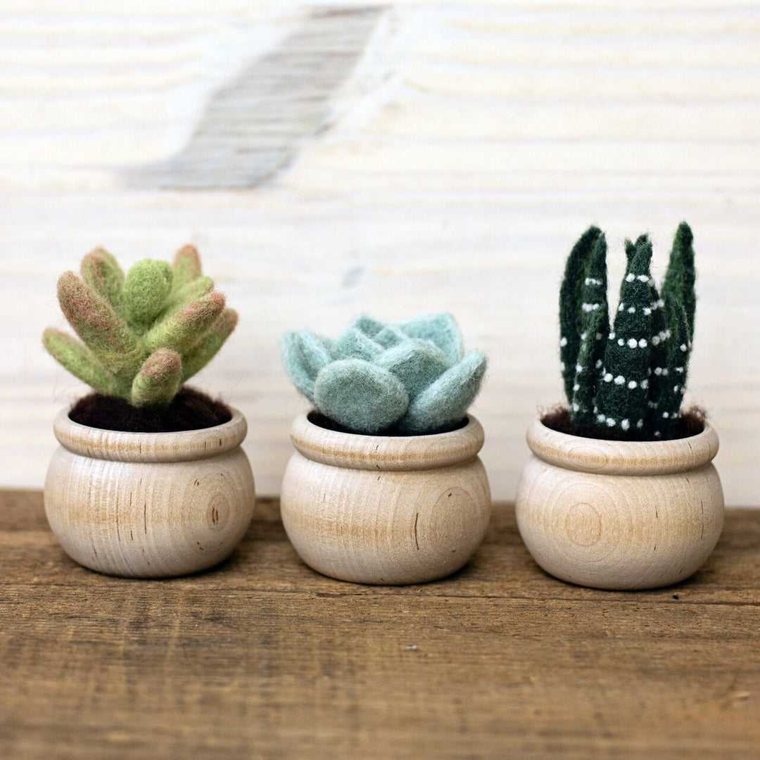 felted succulents Succulents Needle Felting Kit